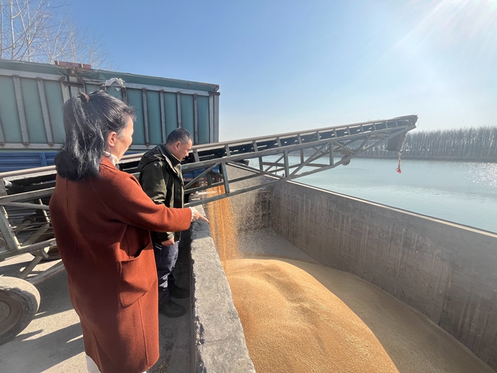 “黨建領航，守護糧安”淮糧集團開展特色品牌黨建活動