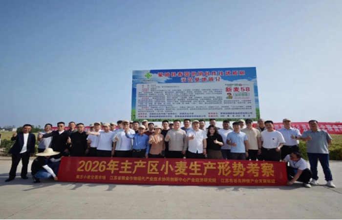 實(shí)業(yè)公司赴蒙城開(kāi)展夏糧調(diào)研